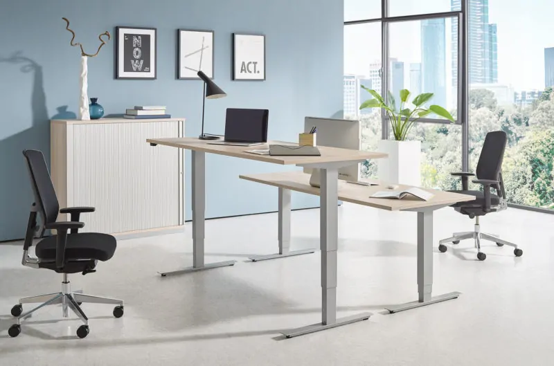 move_fastline-800x529